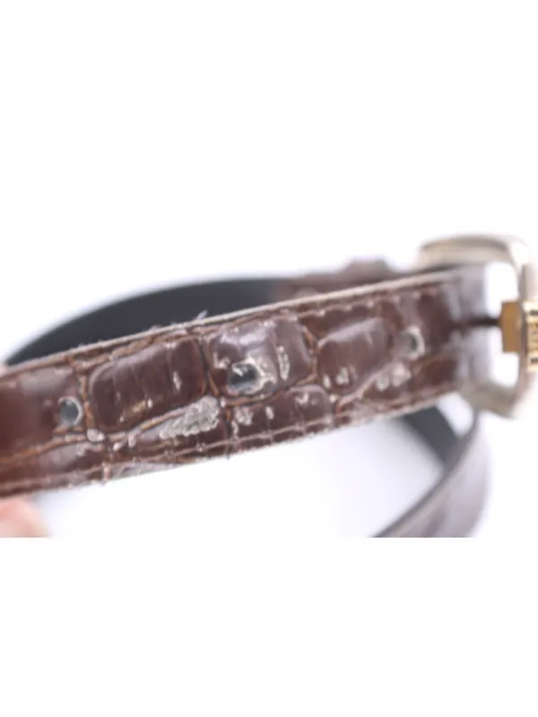 Brown Croc Embossed Vegan Leather Belt -18 Western Y2K Retro Silver Gold Buckle - Image 5