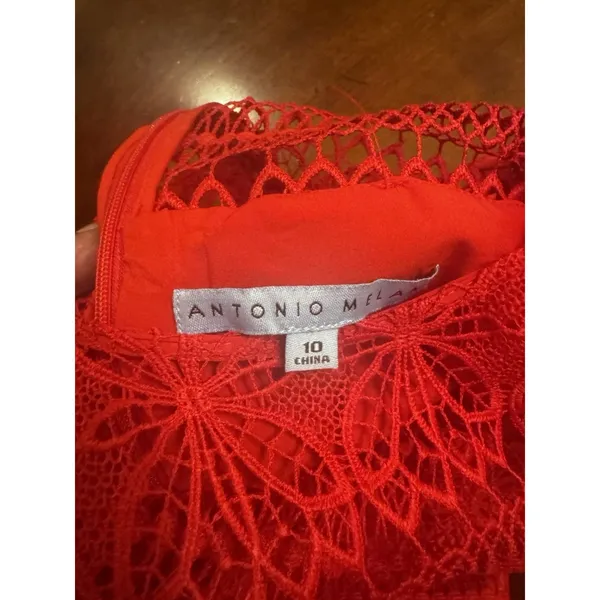 ANTONIO MELANI Red Ochre Lace Overlay Midi Dress, Mermaid-styleHem, Lined, Sz 10 - Image 13