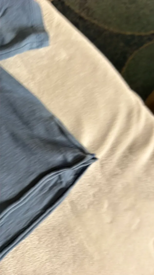 American Eagle Crop Top - Image 3