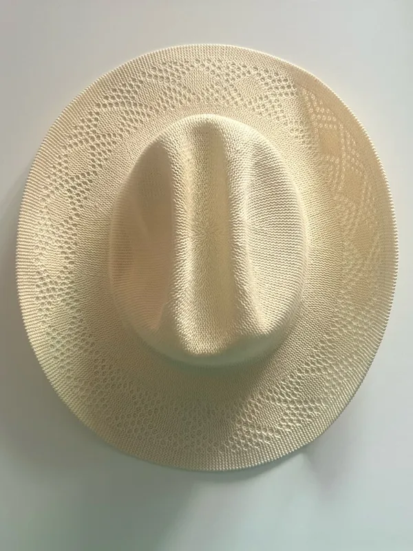 {WYETH} Brand New Carter Packable Cowboy Hat - Image 2