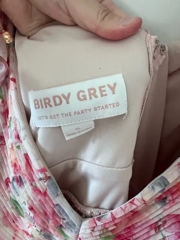 Birdy Grey Dress - Image 3