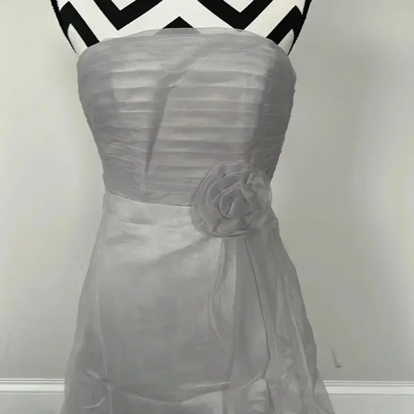 Source Unknown Silver Chiffon Mini Party‎ Dress - Image 7