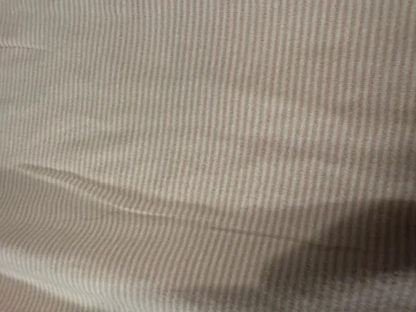striped brandy pants  - Image 3