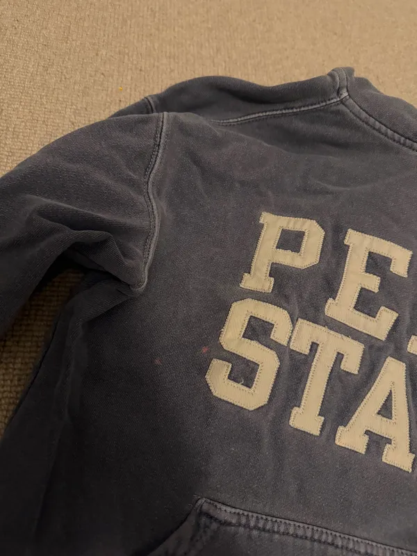 Champion Vintage Penn State Hoodie - Image 4