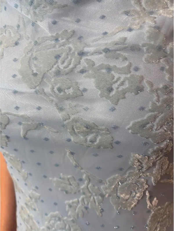 Light Blue Rose Floral Velvet Ruffle Japanese Vintage Formal Coquette Dress - Image 7