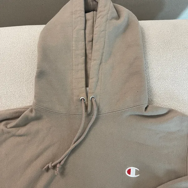 Champion Hoodie - Image 2