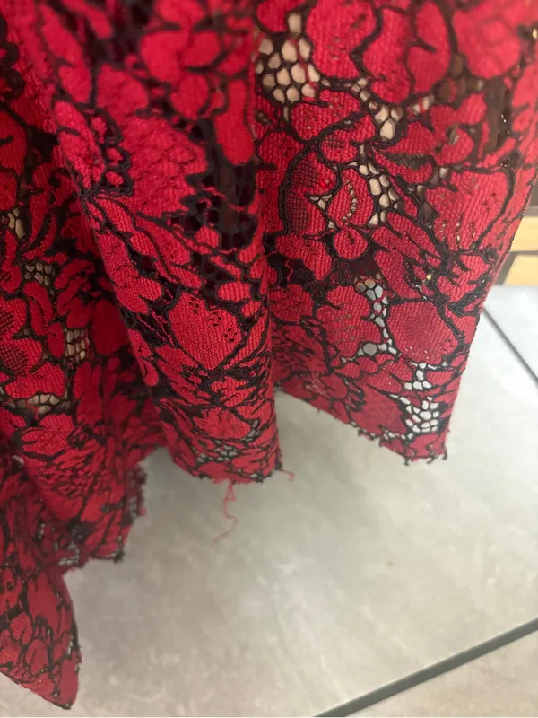 Ellie Wilde mon Cheri red and tan lace gown size 4 - Image 11