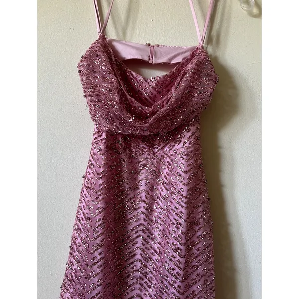 Oh Polly Constance Embellished Cowl-Neck Maxi Dress in Pink Size 2 New - Image 5