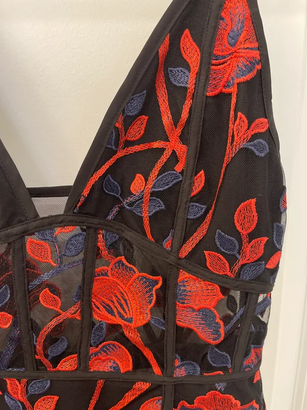 Tobi Lace Embroidered Dress - Image 3
