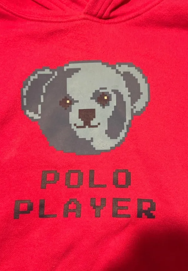 Polo Bear Hoodie - Image 2