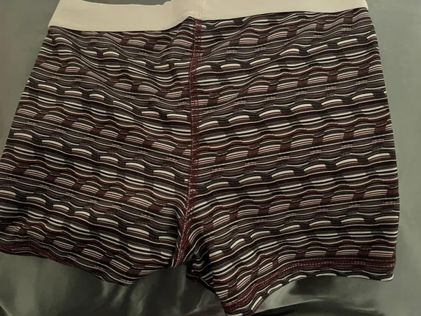 Authentic American Heritage Spandex Shorts - Image 2