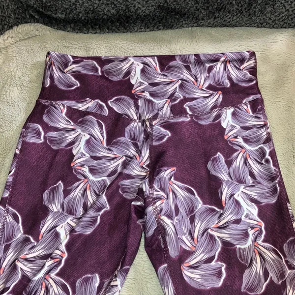 🔹4 for $30 C9 by Champion Floral Crops, Large - Image 3