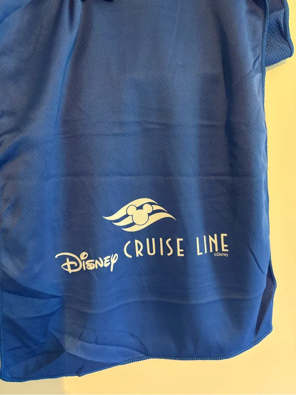 Disney Adventure Exclusive Goodies Bag - Image 9