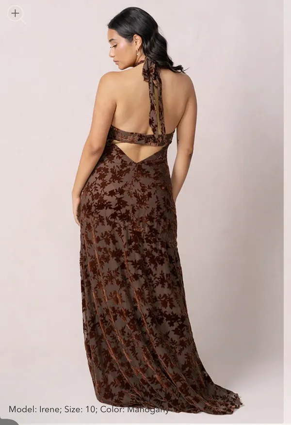 Revelry Athena Floral Burn Out Dress Mahogany Size 6 - Image 3