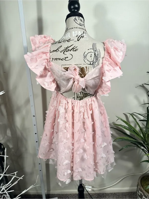 S389. Mabel x Petal & Pup Raelyn Pink Butterfly Appliqué Mini Dress Size Small - Image 3