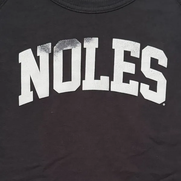FSU Florida State University Seminoles Alternative Apparel Sweatshirt, Large - Image 2