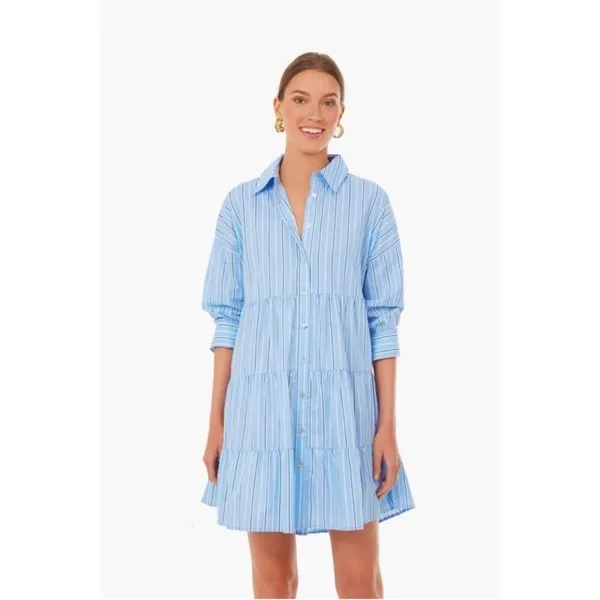 Tuckernuck Pomander Place Shades of Blue Stripe Tiered Cara Dress long sleeve S - Image 2