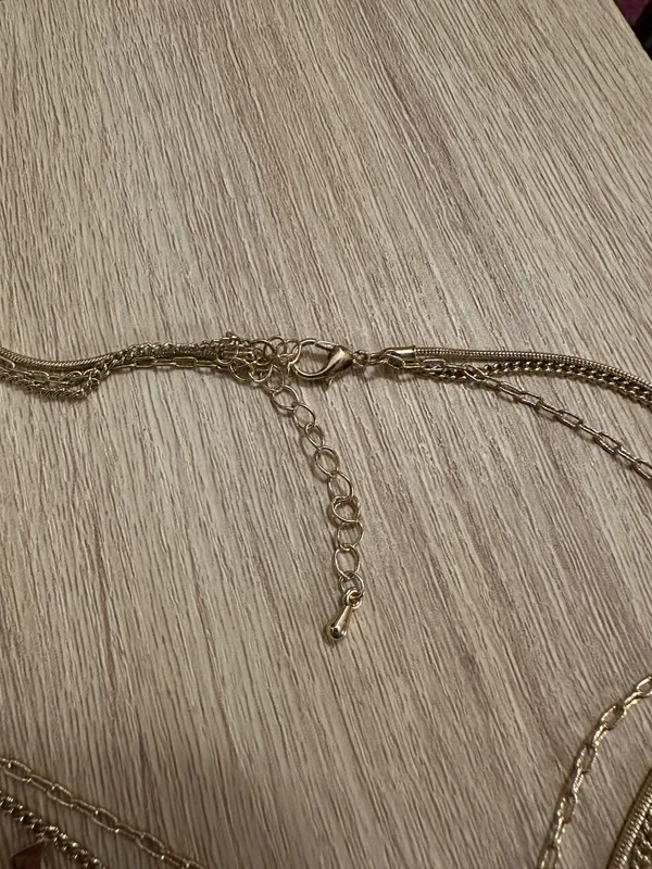 Altar'd State gold adjustable necklace new with tags  - Image 3
