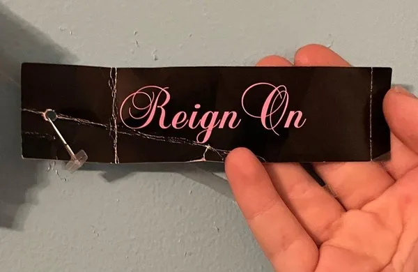 Reign On NWT Pink/Purple Prom/Formal Dress smoke free home - Image 4