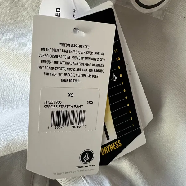 Volcom Species stretch snow pant SKY GREY - Image 5