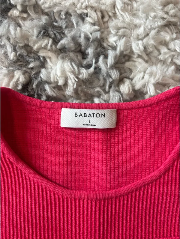 Babaton Dress Aritzia Mini - Image 2