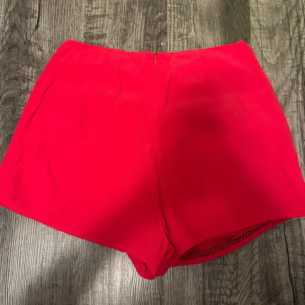 Lovers + Friends Red Skirt - Image 2