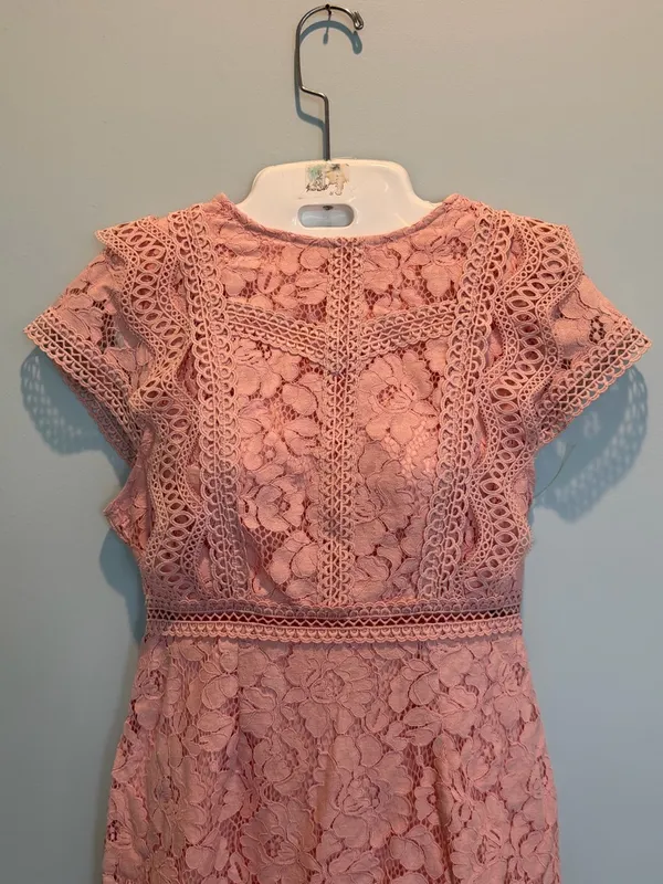 Baltic Born Nessa Lace Blush Midi Dress size Small New With Tags - Image 5