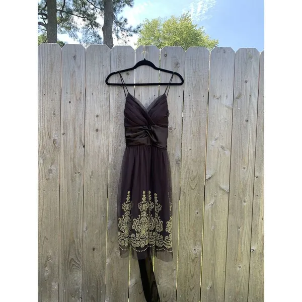 A.P.N.Y. Women's Brown Empire Waist Brown Gold Size 12 Fall‎ Mesh Satin Fairy - Image 2