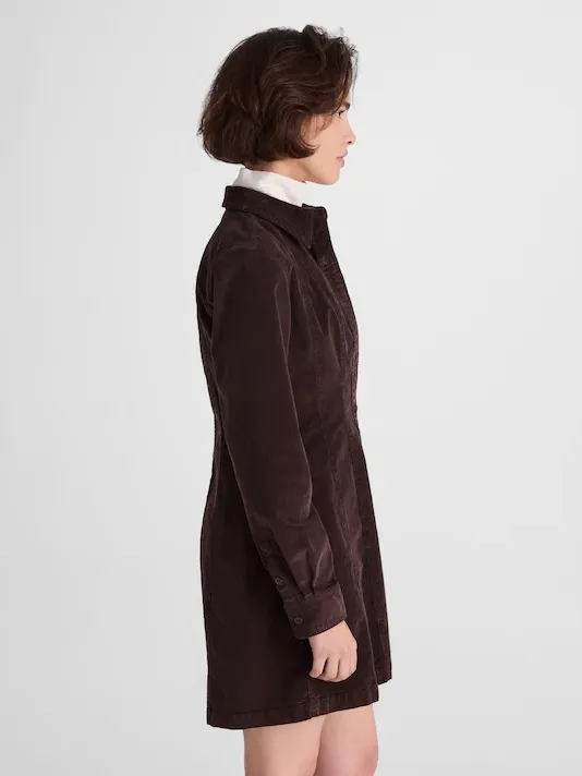 Madewell Seamed Button-Up Mini Dress in Corduroy brown NY264 Size 2 NWT - Image 2