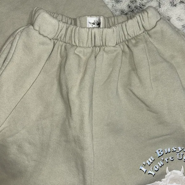 Boys Lie NWOT | I’m Busy You’re Ugly Sweatpants | Size XS - Image 8