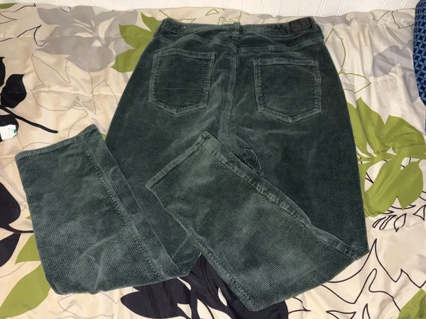 Dark Green Corduroy American Eagle Pants - Image 2