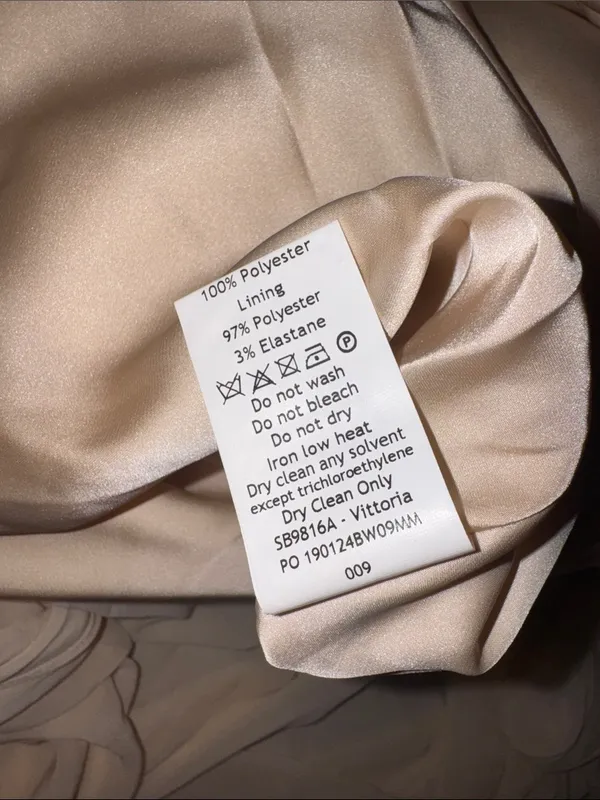 NWOT HOUSE OF CB 'Vittoria' Champagne Chiffon Floor Length Gown sz L - Image 8