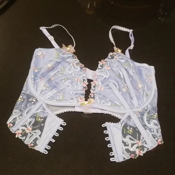 💕FOR LOVE AND LEMONS💕 Bell Bow Bustier Blue 32DD NWT *FLAW Tie String Missing - Image 10