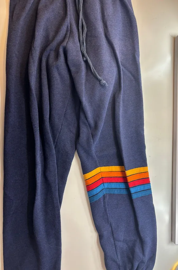 Aviator Nation Navy Sweatpants - Image 4