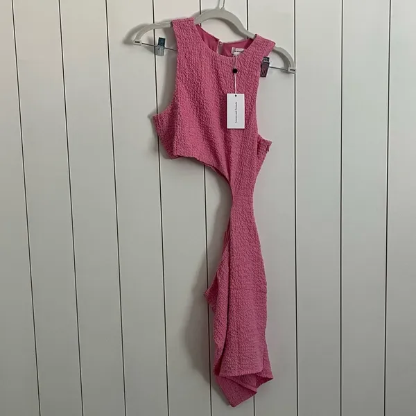 Lovers & Friends Revolve Lavallette Mini Dress in Bubblegum Pink - Image 4