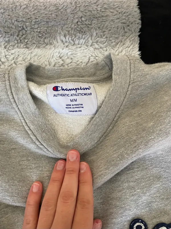 Champion Sweatshirt Crewneck - Image 4