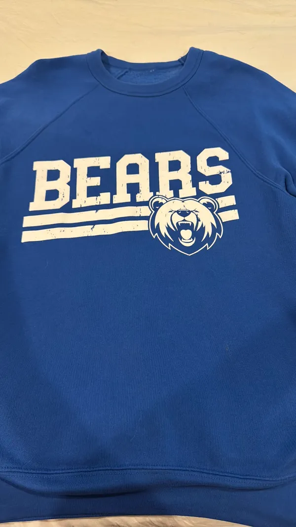 Bears sweatshirt Blue Size M - Image 2