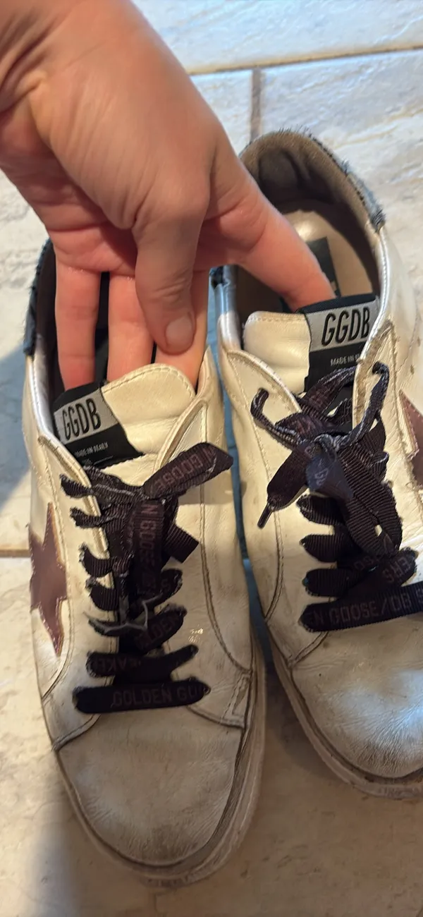 Golden Goose - Image 2