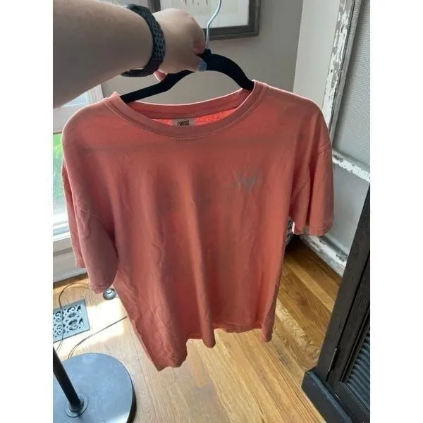 Comfort colors shirt choose kindness shirt large - Image 2