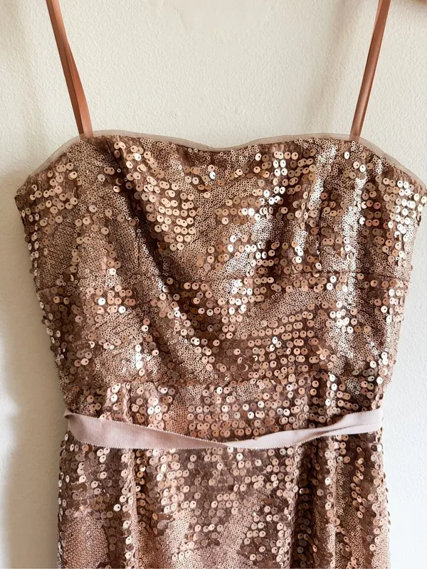 BCBGMAXAZRIA Lela Sequins Maxi Dress Size 2 - Image 4