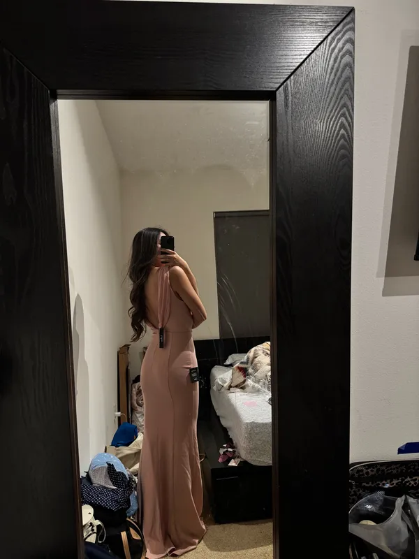 Pink Lulu Gown - Image 4