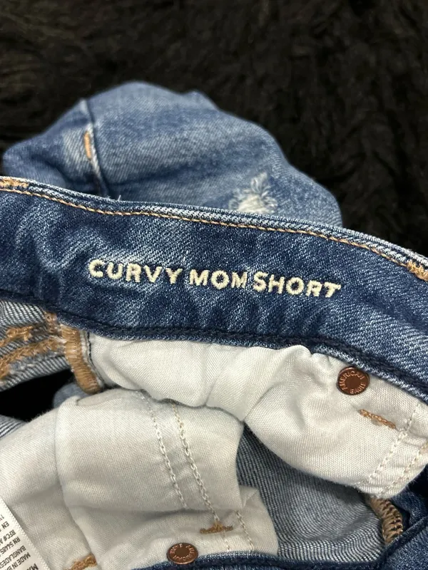 American Eagle Jeans Shorts - Image 4