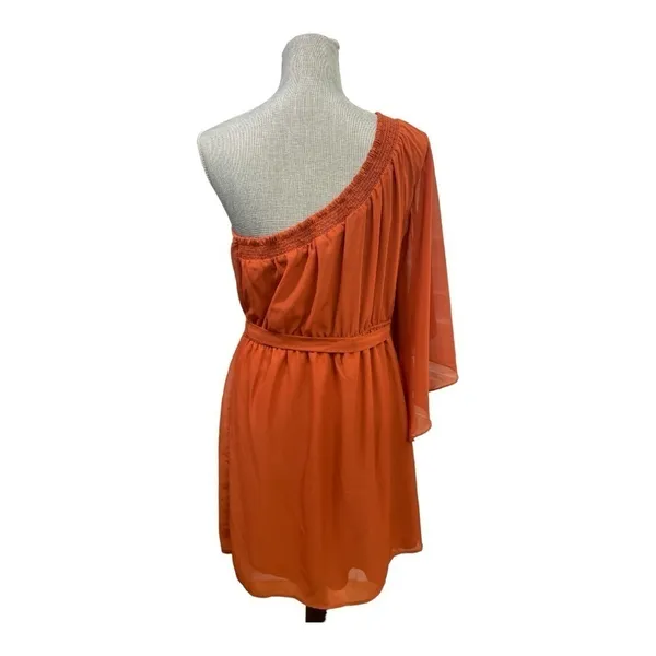 AUW One shoulder dress, Rust color, elastic back, hip sash size L, Knee length - Image 5
