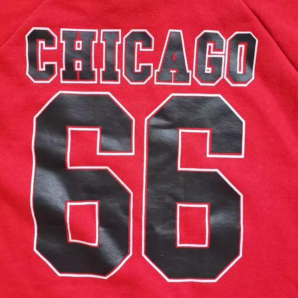 Chicago Bulls NBA Crop Sweatshirt Womens Large Red Crewneck Pullover Long Sleeve - Image 10
