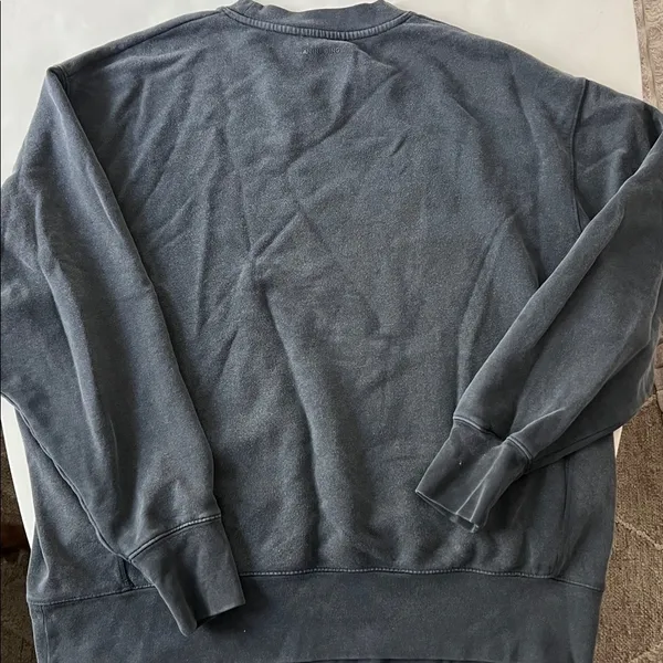 Anine Bing Retro Alto Eagle Graphic Organic Cotton Sweatshirt Washed Gray Black - Image 5
