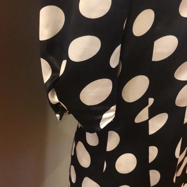 Wet Seal Polka-Dot Button-Down Blouse (L) - Image 3