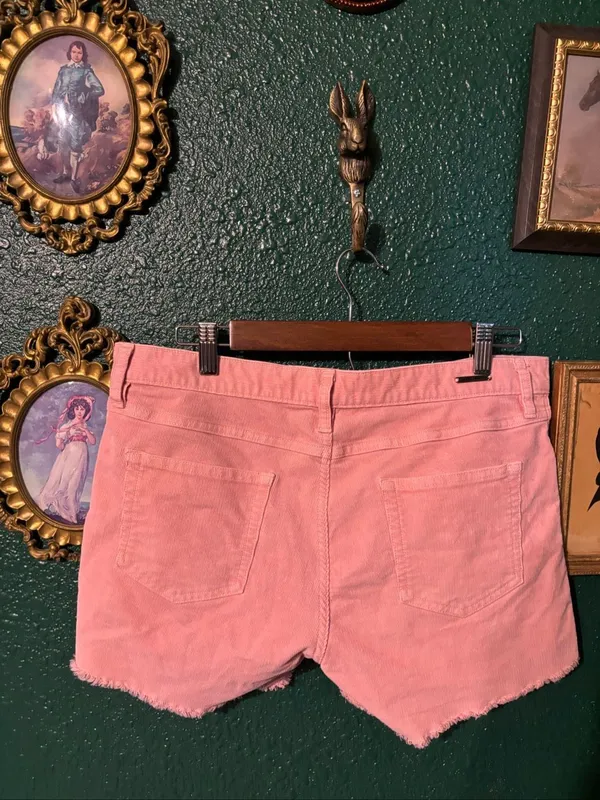Carve Designs Oahu Shorts Size 8 Pink - Image 2