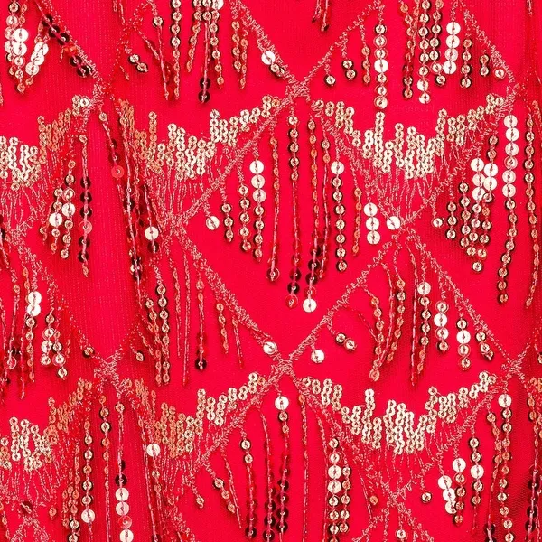 Superdown Nia Sequin Red Fringe Party Mesh Embellished Glam Dress NWT Small - Image 6