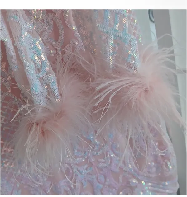 Blondie Nites Sequined Dress With Feather - Image 4