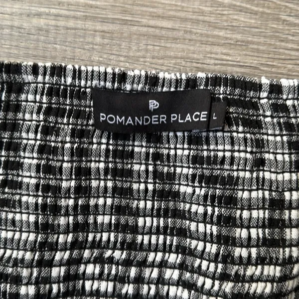 Tuckernuck Pomander Place Beachwood Gingham Abigail dress - Image 9
